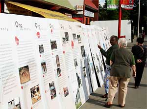 Calgarians visiting the "Heritage of Hong Kong" display which showcases 6,000 years' of Hong Kong heritage, at the Calgary Chinatown Street Festival.